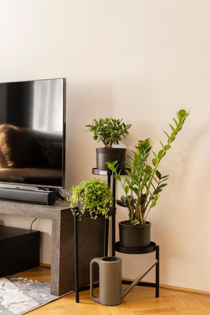 Luxury In Vaclavske Namesti Apartment *