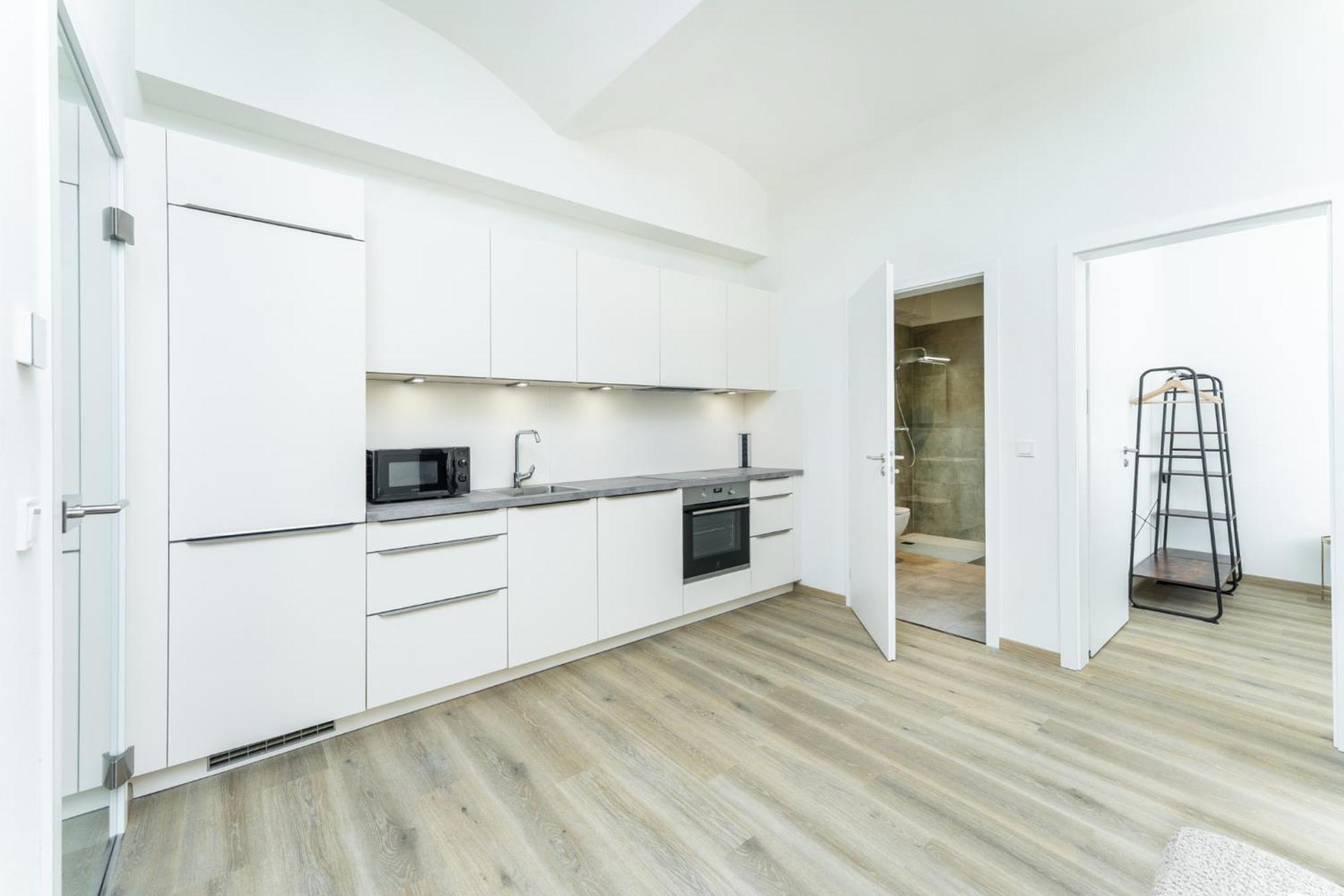 Wenceslas Square By Rentero Apartment