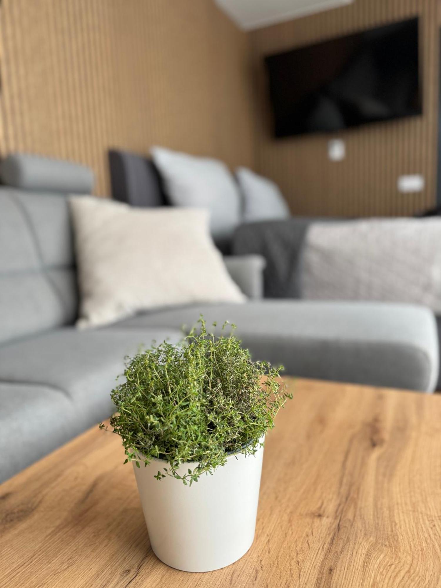 Airport Luxury & Apartamento