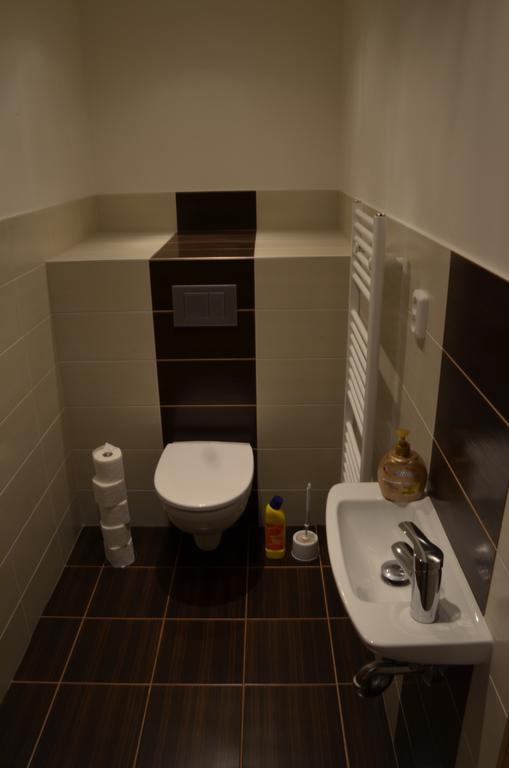 Apartment Comfortable Vlkova *