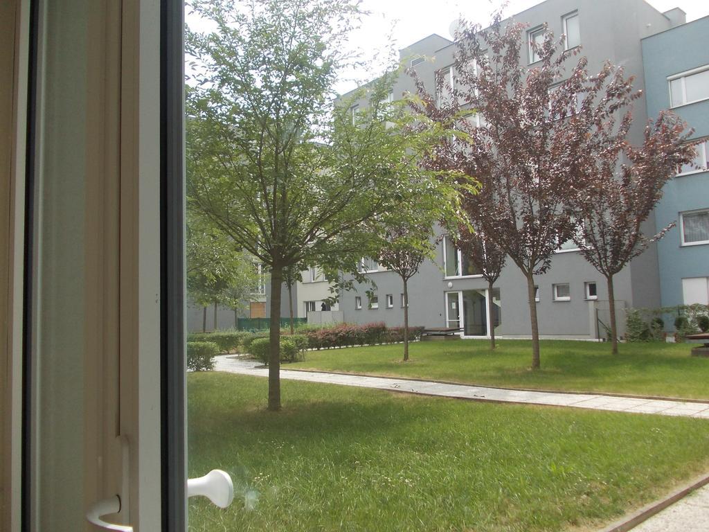 Jelinex Daire *