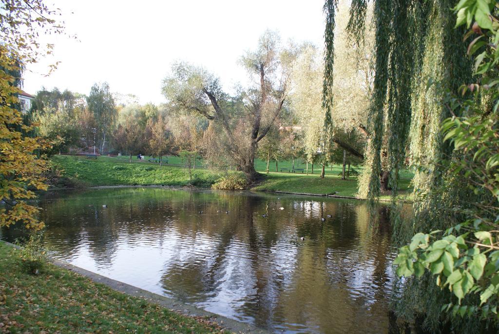 Apartment Malovanka *