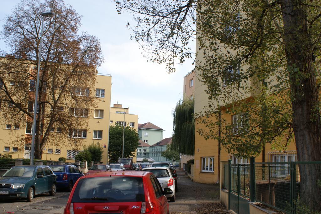 Malovanka Apartment *