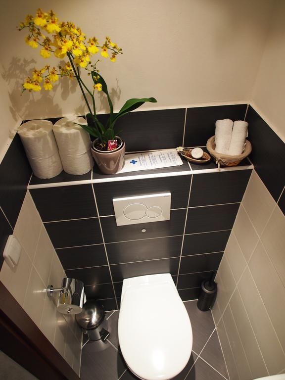 Andel Tomaskova Apartment *