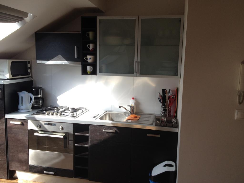 Penthouse In Vinohrady * Prague