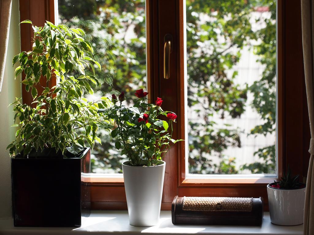 Andel Tomaskova Apartment *