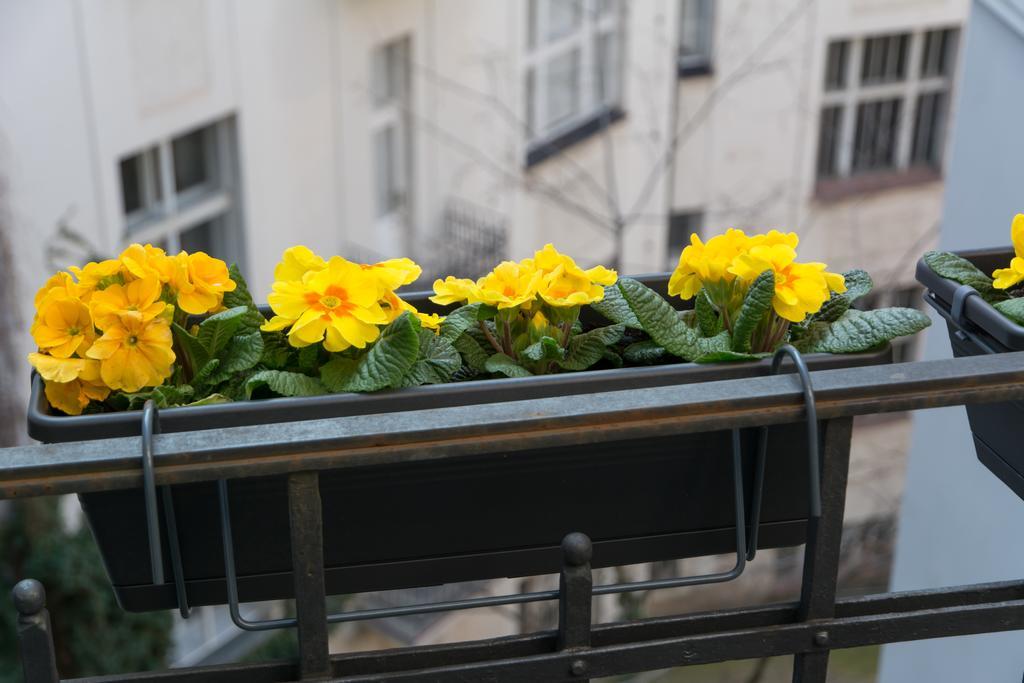 Apartment Decadent Art Deco Balcony Apartment In Old Town Prague