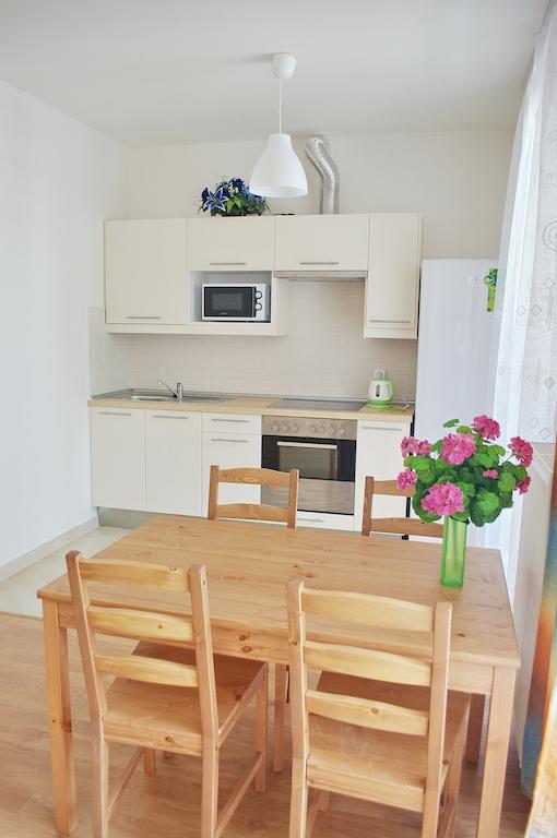 Bright Spacious Apartment Prague