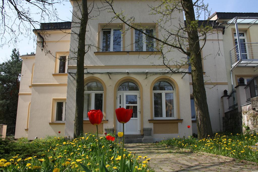 Apartment Jirankova *