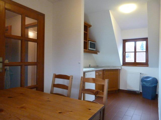 Cesky Statek Guest house 3*