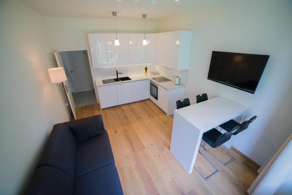 Apartment Malovanka *