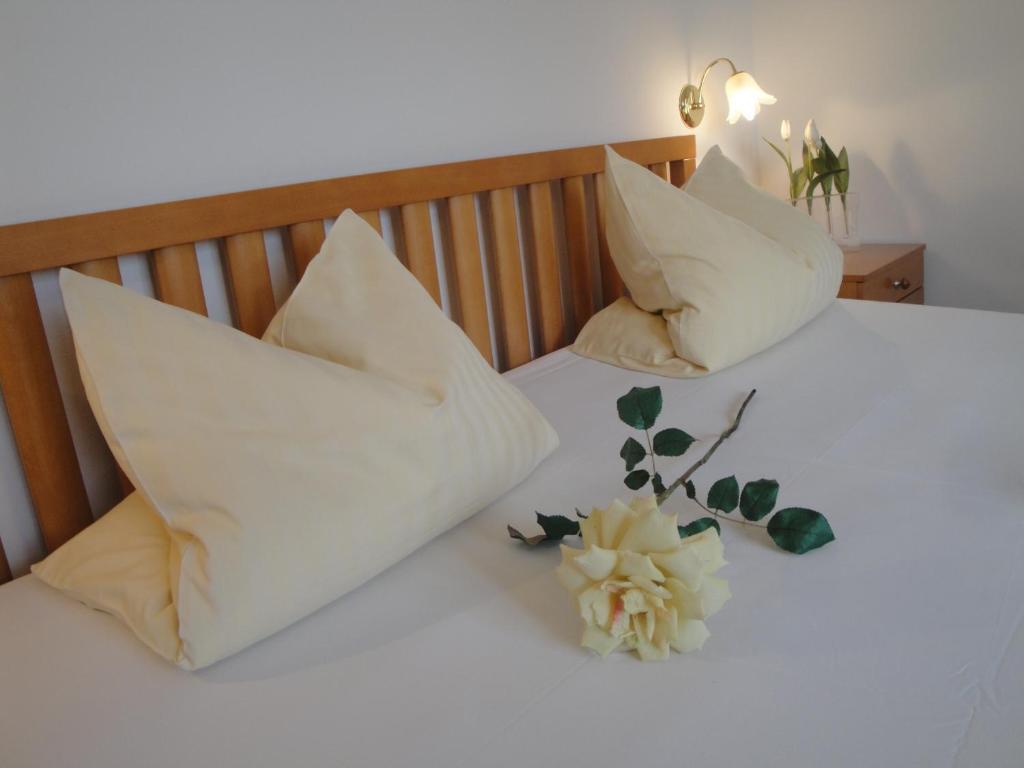 Guest house Granit