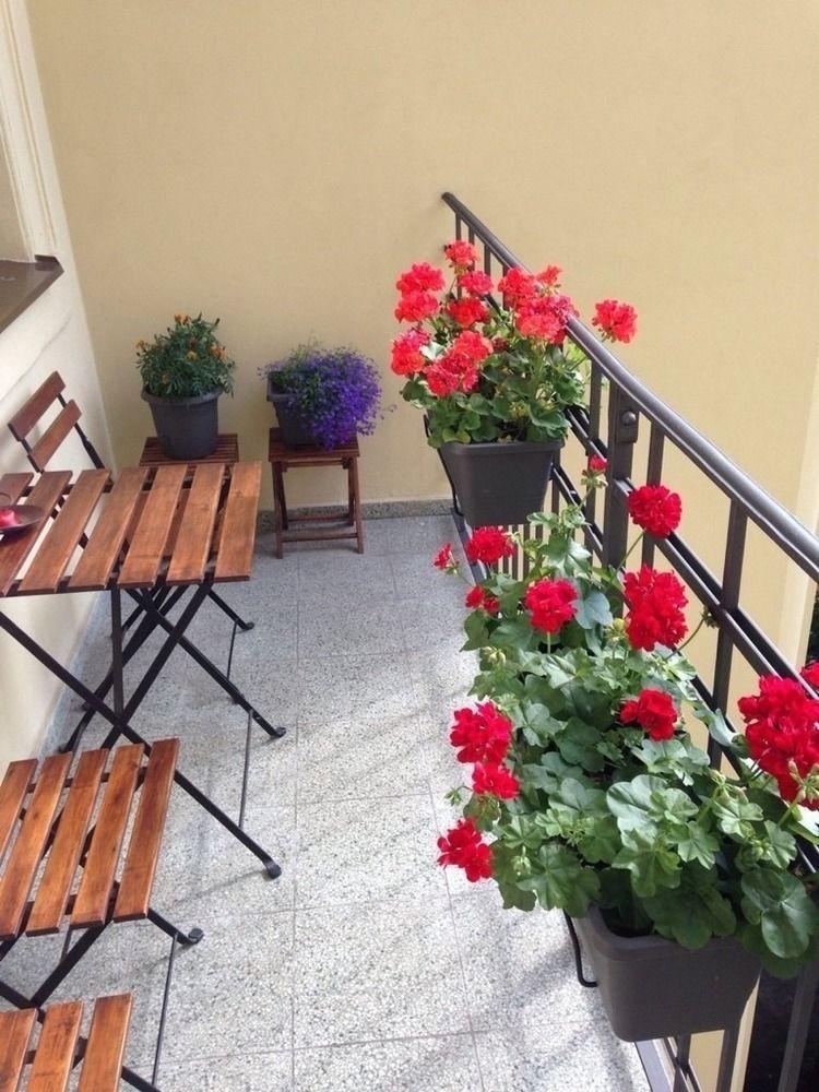 Apartment Old Town - Dusni