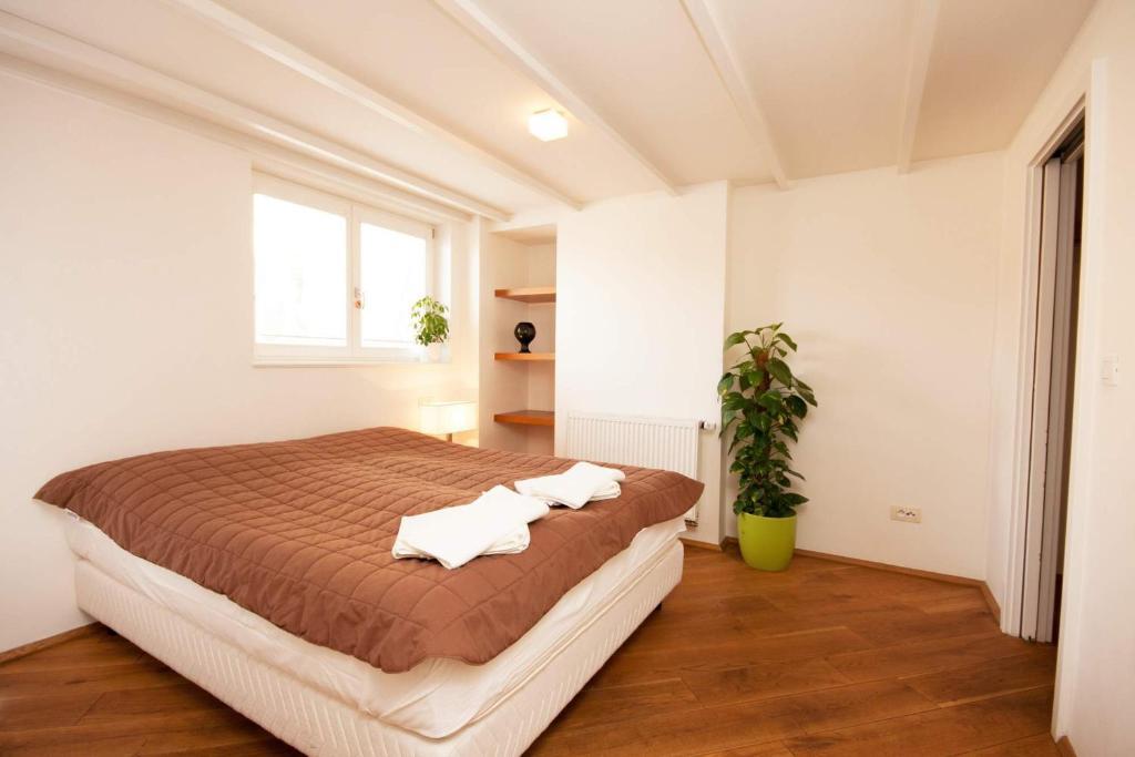 Kozna Loft *