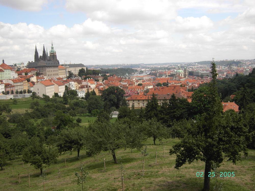 Little Town Budget Hotel Prague