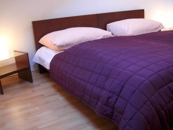 Pinkas Apartment