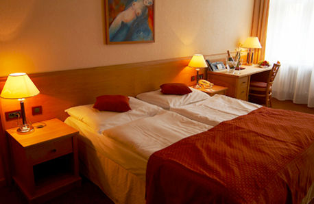 Rott Hotel 4*