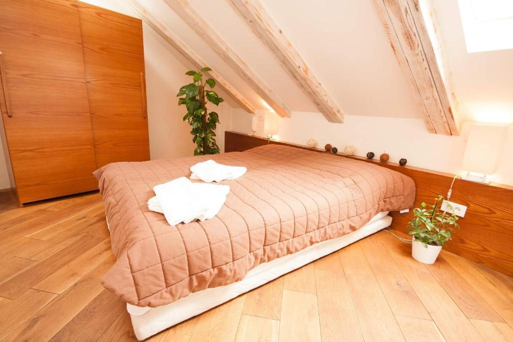 Apartment Kozna Loft *