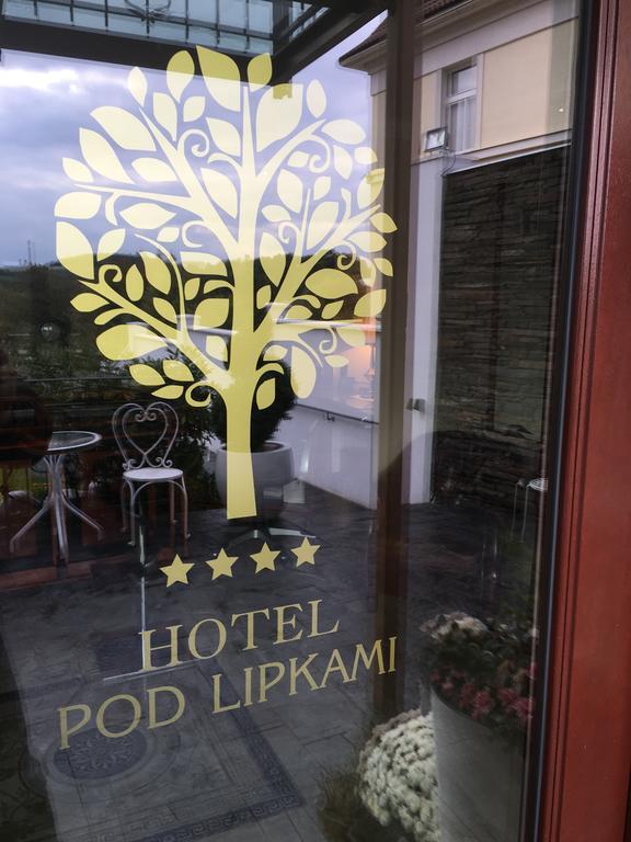 Hotel Wellness & Boutique Pod Lipkami