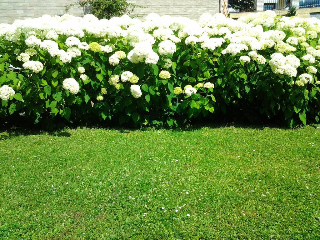 Gardenview Privat Studio *