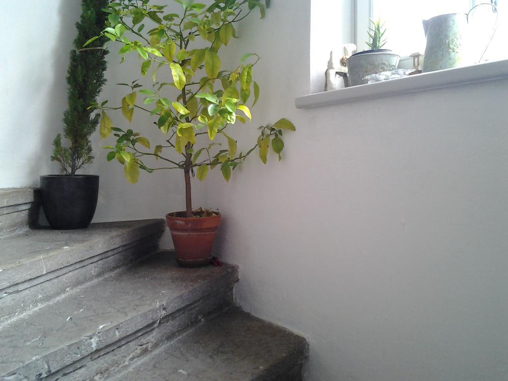 Apartment Gardenview Privat Studio
