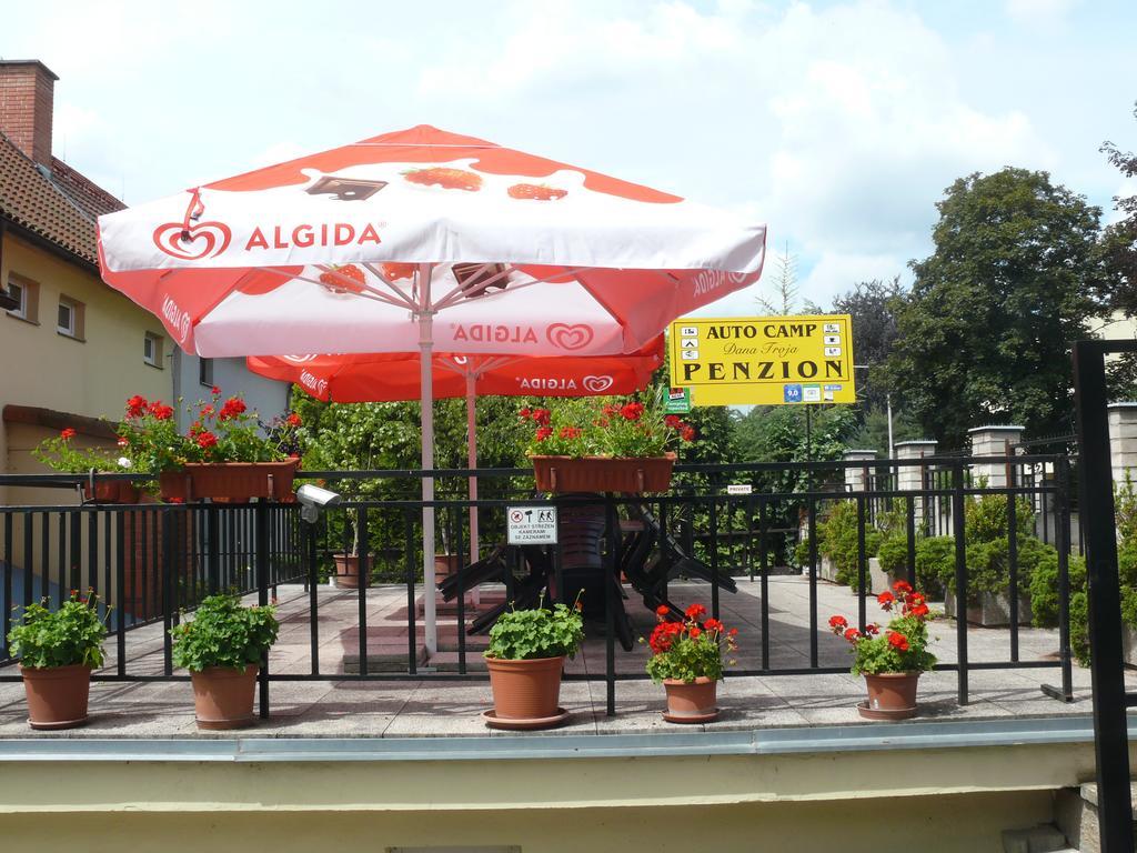 Guest house Dana Troja *