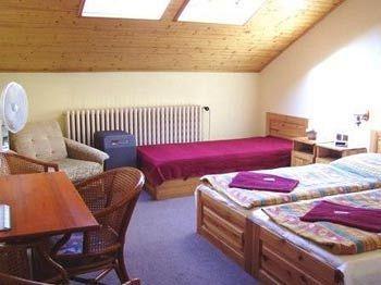 Platan Guest house 2*