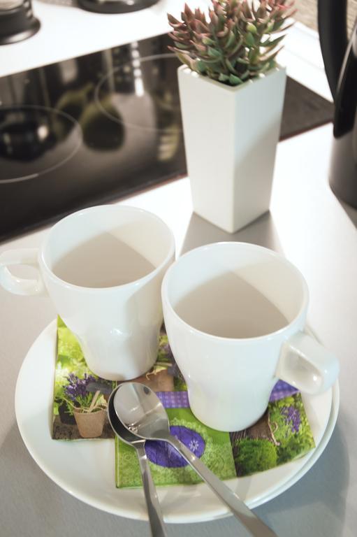 Apartment Krakovska 5 *