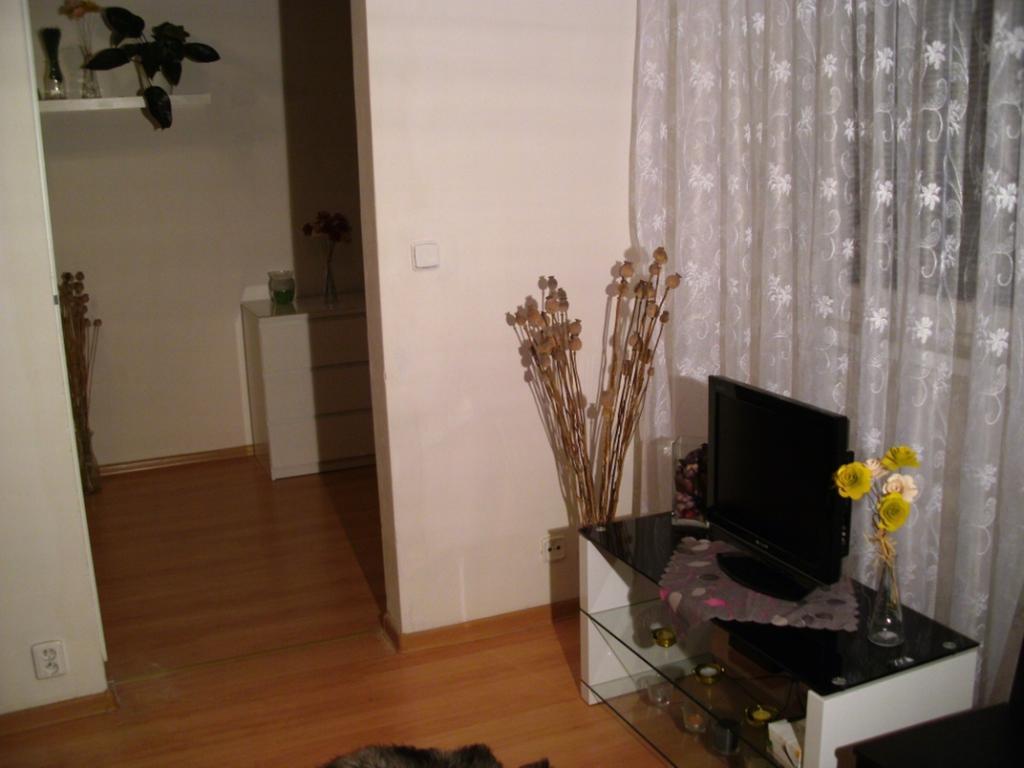 Apartment Aisha Prague