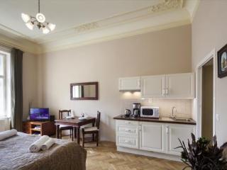 Apartment Old Town - Dusni Prague