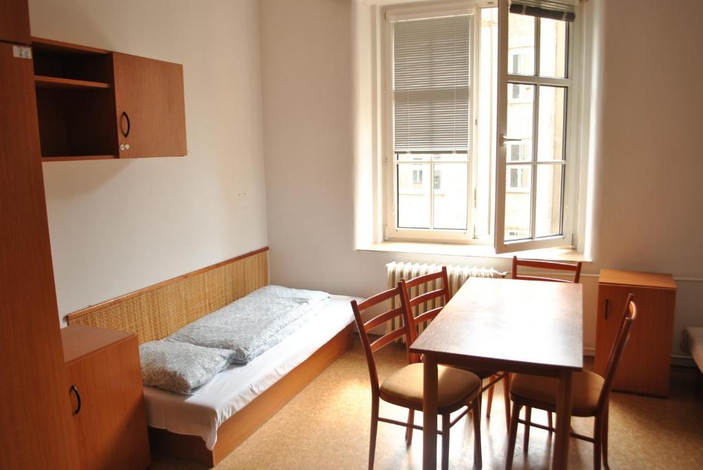 Dizzy Daisy Hostel