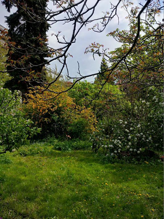 The Garden In The City Praga