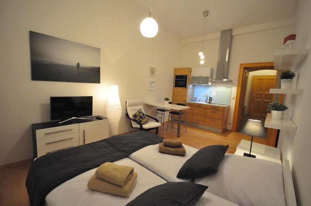 Apartment Husitska Prague