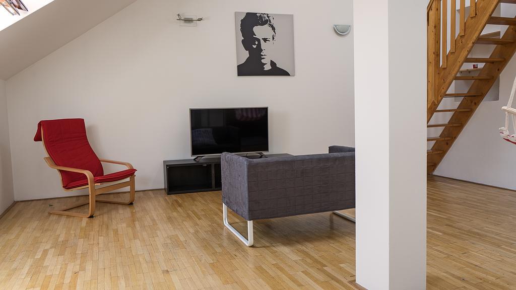 Loft With Amazing Terrace Apartment *