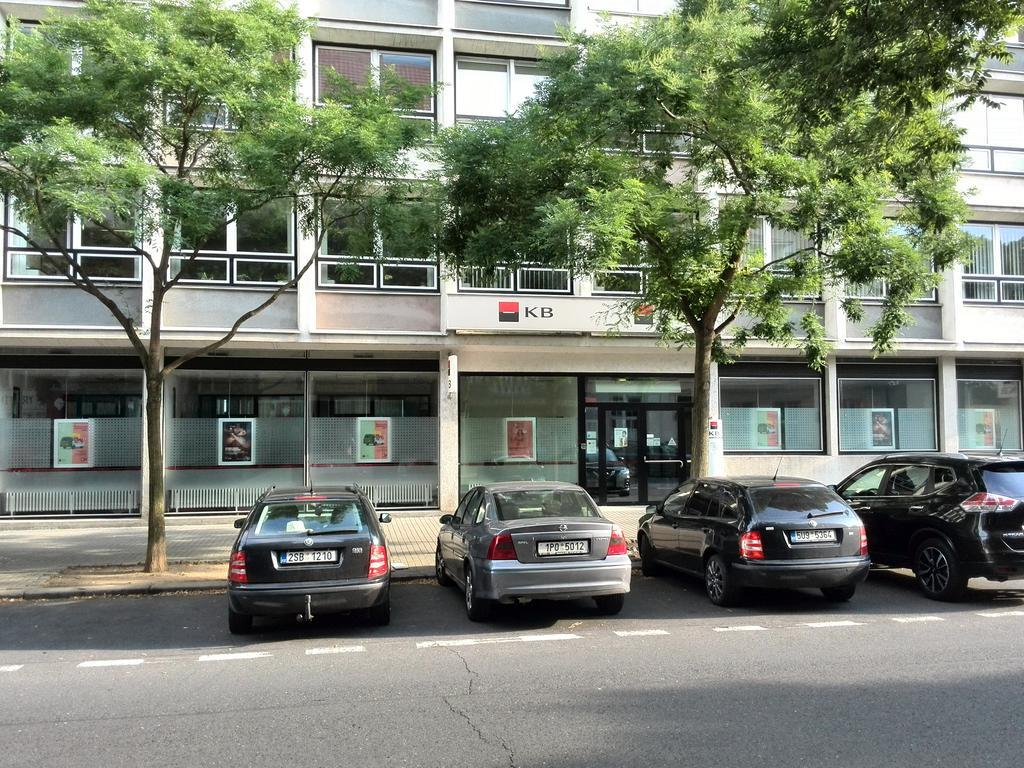 Apartment U Pruhonu *