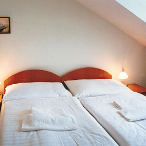 Novomestsky 3*