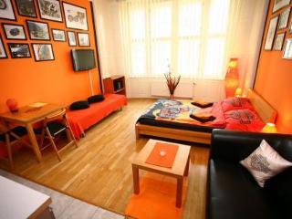 Center Apartment *