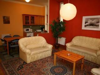 Center Apartment *