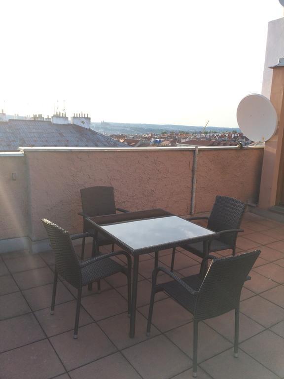 Apartment Penthouse In Vinohrady *