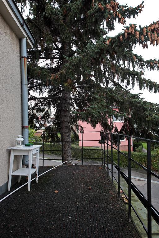 Kosatcova Daire *