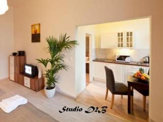 Old Town - Dusni Apartment *