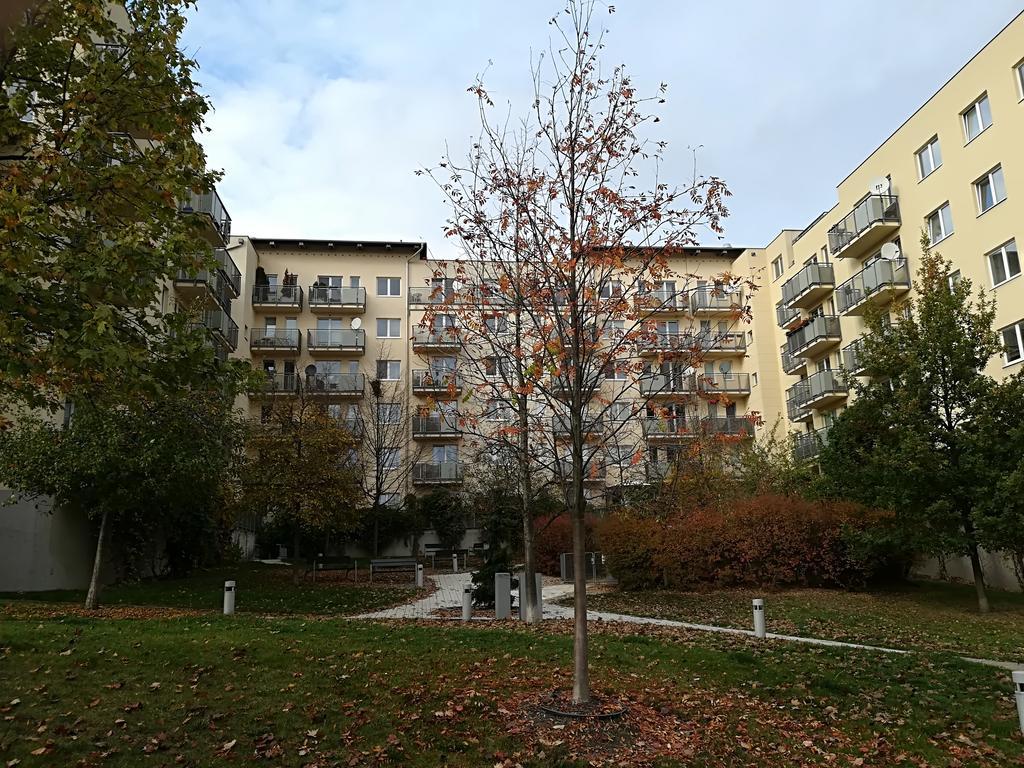New Studio With Private Parking