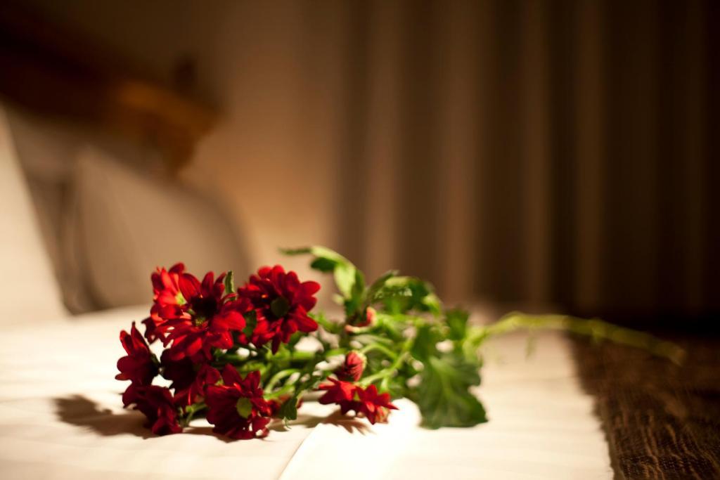 Dahlia Hotel 3*