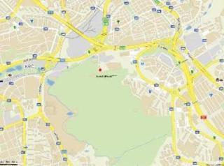 Hotel Nosal 4*