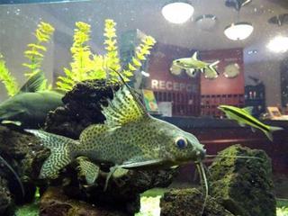 Ostruvek Hotel Prague