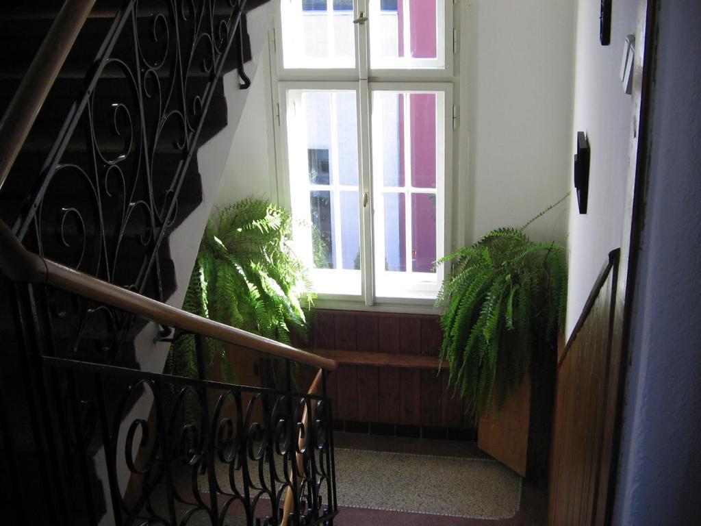 Guest house Lucie 3*