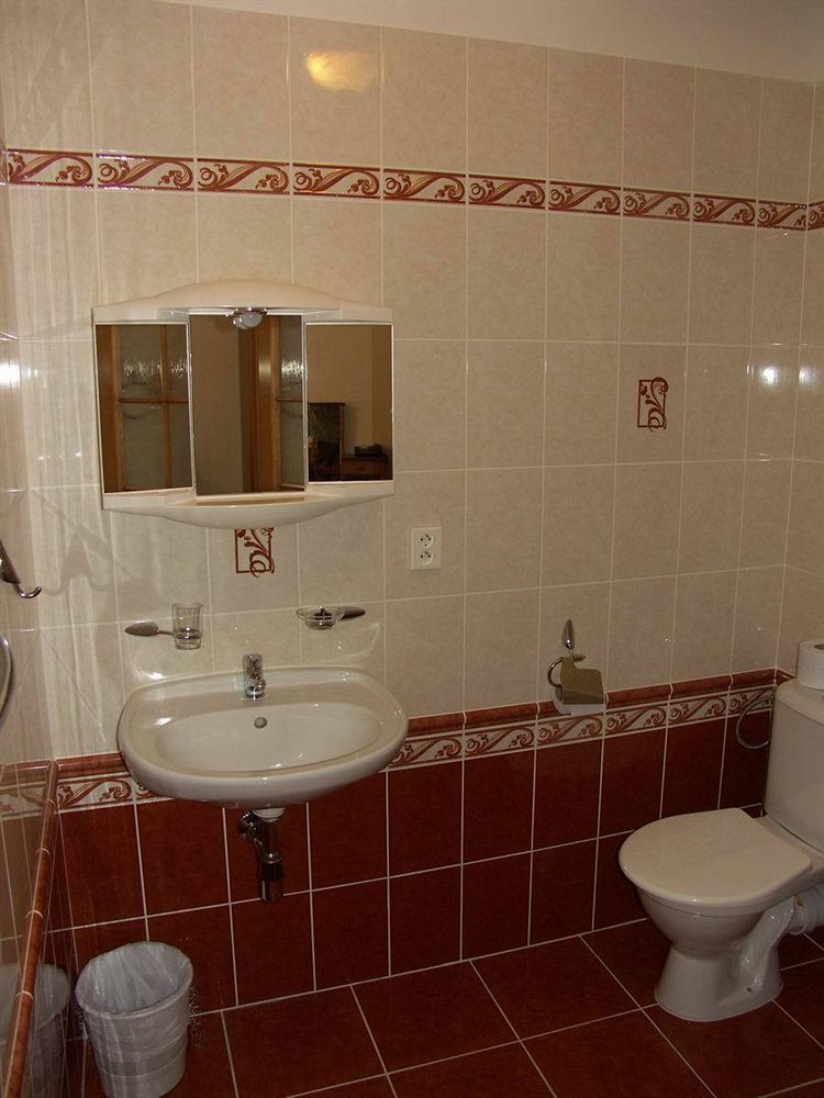 Hotel Brezina Praga