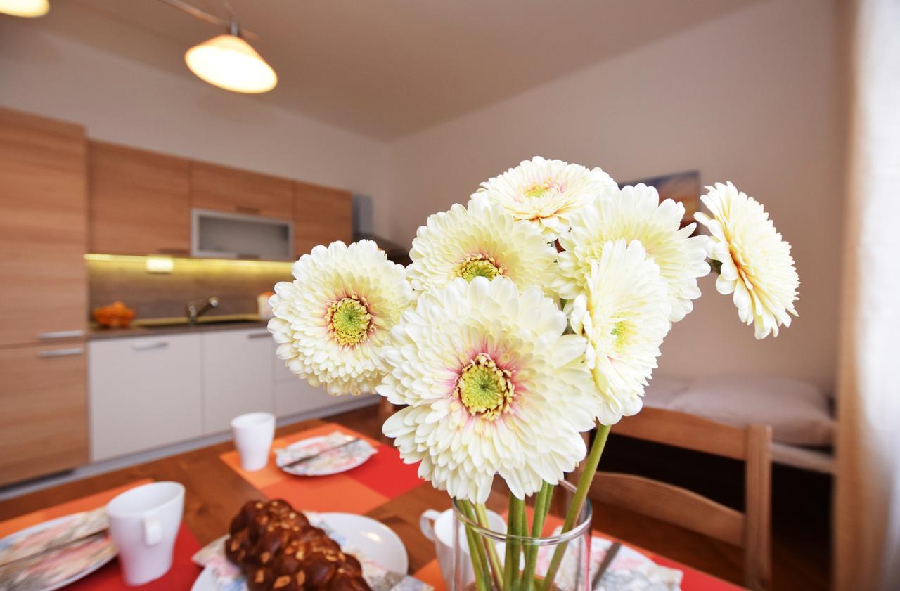 Apartment Cisarka