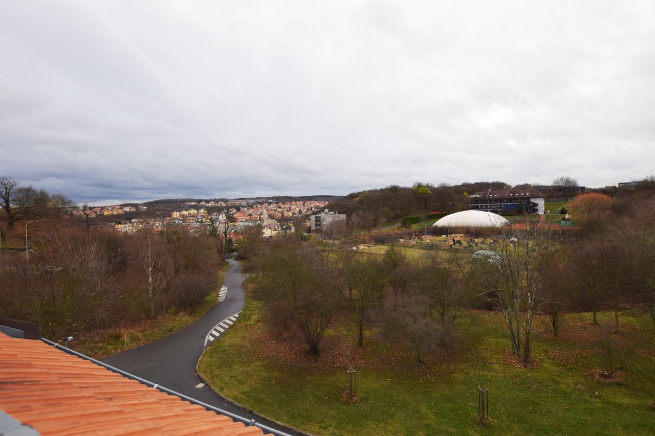 Apartment Cisarka *