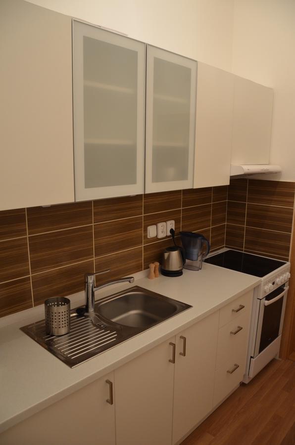 Comfortable Vlkova Apartment